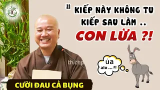 "Đang nghe pháp mà làm việc riêng Kiếp Sau Làm Con Lừa" - CƯỜI XỈU Vấn Đáp Thầy Thích Pháp Hòa