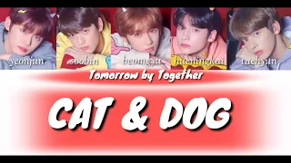 TXT - CAT & DOG ( Rom/Eng/Indo) Easy Lyrics + Lirik Terjemahan