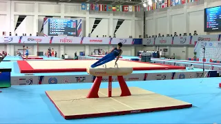 MANUKYAN Hamlet (ARM) - 2023 Artistic Junior Worlds - Qualifications Pommel Horse