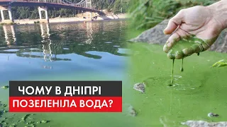 За крок до екологічної катастрофи: чому в Дніпрі позеленіла вода та як врятувати головну артерію