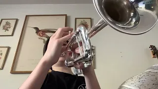 Cool trumpet edit