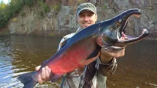 River Monster Fish! Fishing and adventure on the river in the taiga. Part 2