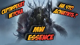 Сертификат Игрока MW Essence, На что  Лучше  Донатить Новичку?