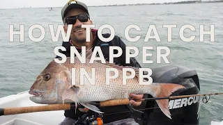 How To Catch Snapper in Port Phillip Bay (check our new updated snapper video- link in comments)