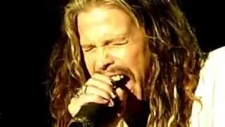 Aerosmith - I Don't Want To Miss a Thing (Live - Download Festival, Donington 2014)