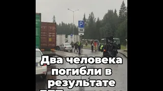 Два человека погибли в результате ДТП на трассе М-11, попавшего на видео