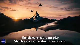 TAXI - Stelele care cad ✨ (Versuri | Lyrics)
