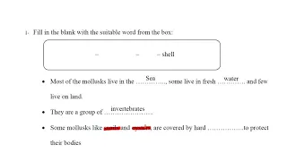 Mollusks worksheet solution