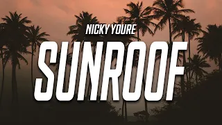 Nicky Youre - Sunroof (Lyrics) feat. dazy “i got my head out the sunroof”