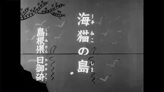 【１９４０アーカイブス】ウミネコ飛び交う神の島・経島　８０年前の姿、貴重な映像