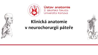 Klinická anatomie v neurochorurgii páteře 7 4 2021