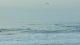 What Surfing Really Looks Like Ep 2: Rockaway NY March 6 2022