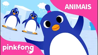 A Dança Do Pinguim | Canções de Animais | Pinkfong Canções para crianças