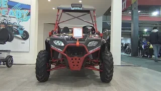 Yuki Motor Thor UTV 250 Offroad (2020) Exterior and Interior