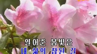 사랑의 봄빛