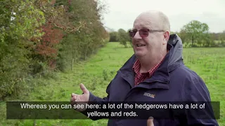 Managing Healthy Hedgerows