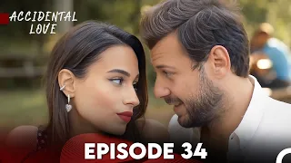 Accidental Love Episode 34 (FULL HD)