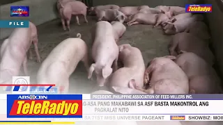 Feed millers group: May pag-asa pang makabawi sa ASF basta makontrol ang pagkalat nito | 24 Nov 2022