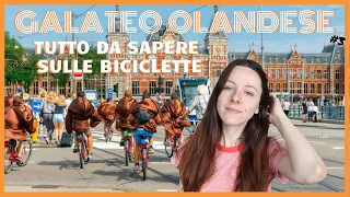 Tutto da sapere sulle bici in Olanda | Galateo Olandese #3