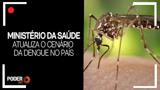 Ao vivo: Ministério da Saúde atualiza o cenário da dengue no país