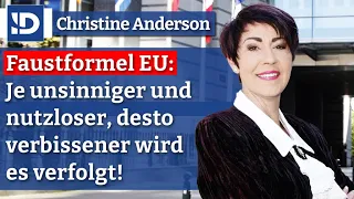 Je unsinnniger, desto verbissener verfolgt man es hier! | Christine Anderson