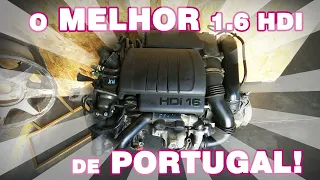 O melhor 1.6 hdi de Portugal!