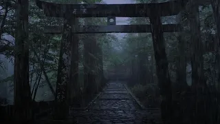 Beautiful Relaxing Rain Japanese Forest Torii - Relieve All Anxiety and Stress Chill