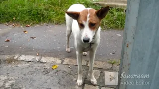 4 октября Славянск / СОПРОВОЖДАЮЩИЕ И ВСТРЕЧАЮЩИЕ !!! / Славянск сейчас 2022