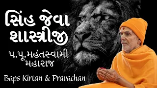 Baps Pravachan | સિંહ જેવા શાસ્ત્રીજી | પ.પૂ.મહંતસ્વામી મહારાજ