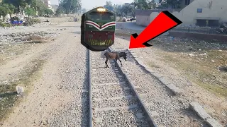 Live Donkey hit with fastest Train Karakoram Express 41up near Shahdara bagh junction imamia Colony