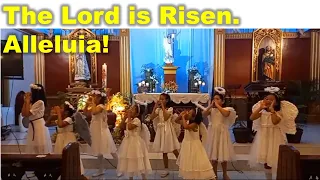 Hail Holy Queen — Piccolo Coro Melograno (Our Lady of Fatima Parish Angels)