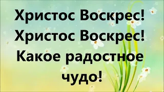 Воскрес из гроба наш Спаситель - Семья Кирнев