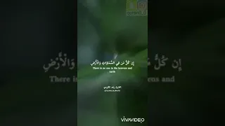 القارئ رعد الكردي" سورة مريم"🌼