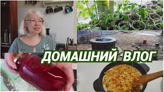 Влог/Что там в саду/Закрыли магазины, надо искать альтернативу/Что сегодня готовила вкусненького