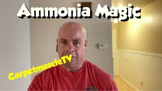 Undeniable Proof Challenger & Ammonia rule carpet cleaning. Vlm