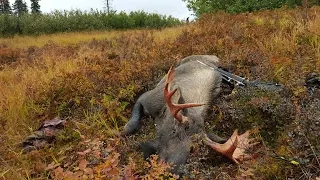 Talkeetna Moose Hunting 2015