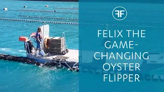 FlipFarm oyster system - meet FELIX our helix flipper!