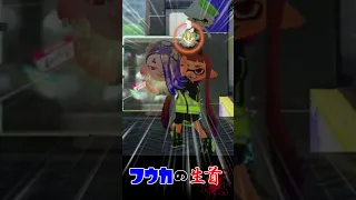 フウカの生首【スプラトゥーン3】