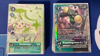 UNDEFEATED Terriermon Deck