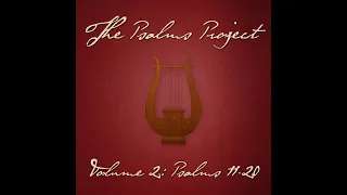 Psalm 121 (Radio Edit) (He Watches Over You) (feat. Luke Lynass) - The Psalms Project