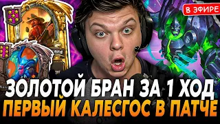 Первый ЗОЛОТОЙ БРАНН за 1 ХОД в НОВОМ ПАТЧЕ под КАЛЕСГОСА! SilverName Сильвернейм Hearthstone