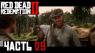 ✌ ЗНАКОМСТВО С ГРЕЯМИ И БРЕЙТУЭЙТАМИ  - прохождение Red Dead Redemption 2 часть 29