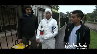 Roberto Funes Ugarte contra ratas, cucarachas y arañas - #ContratadoXunDía - Telefe Noticias