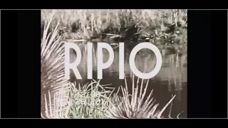 Ripio - Santiago Cepeda