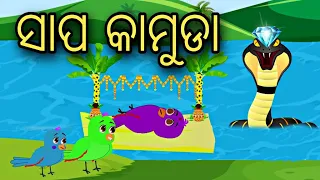 Sapa Kamuda || Odia Stories || Odia Gapa || Aaima Gapa Kahani || Kahani