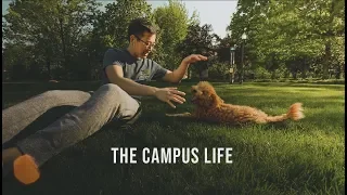 Life on a College Campus