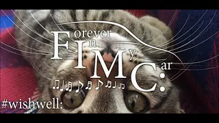 Sam Feldt ft Olivia Sebastianelli - Wishing Well [FIMC:]