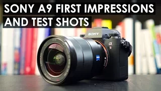 Sony a9 First Impressions and Test Shots