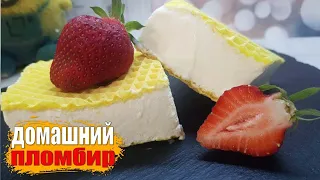 ПРОВЕРКА. 2 ИНГРЕДИЕНТА + ВАФЛИ за 5 МИНУТ и всё ГОТОВО!!! Мороженое Пломбир в домашних условиях.