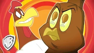 Looney Tunes in italiano | Foghorn Leghorn canta 'Chicken Hawk' | WB Kids